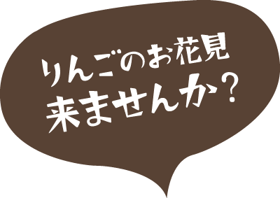 りんごのお花見来ませんか？